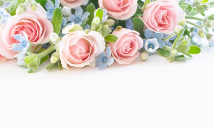 藍（あい）結婚相談