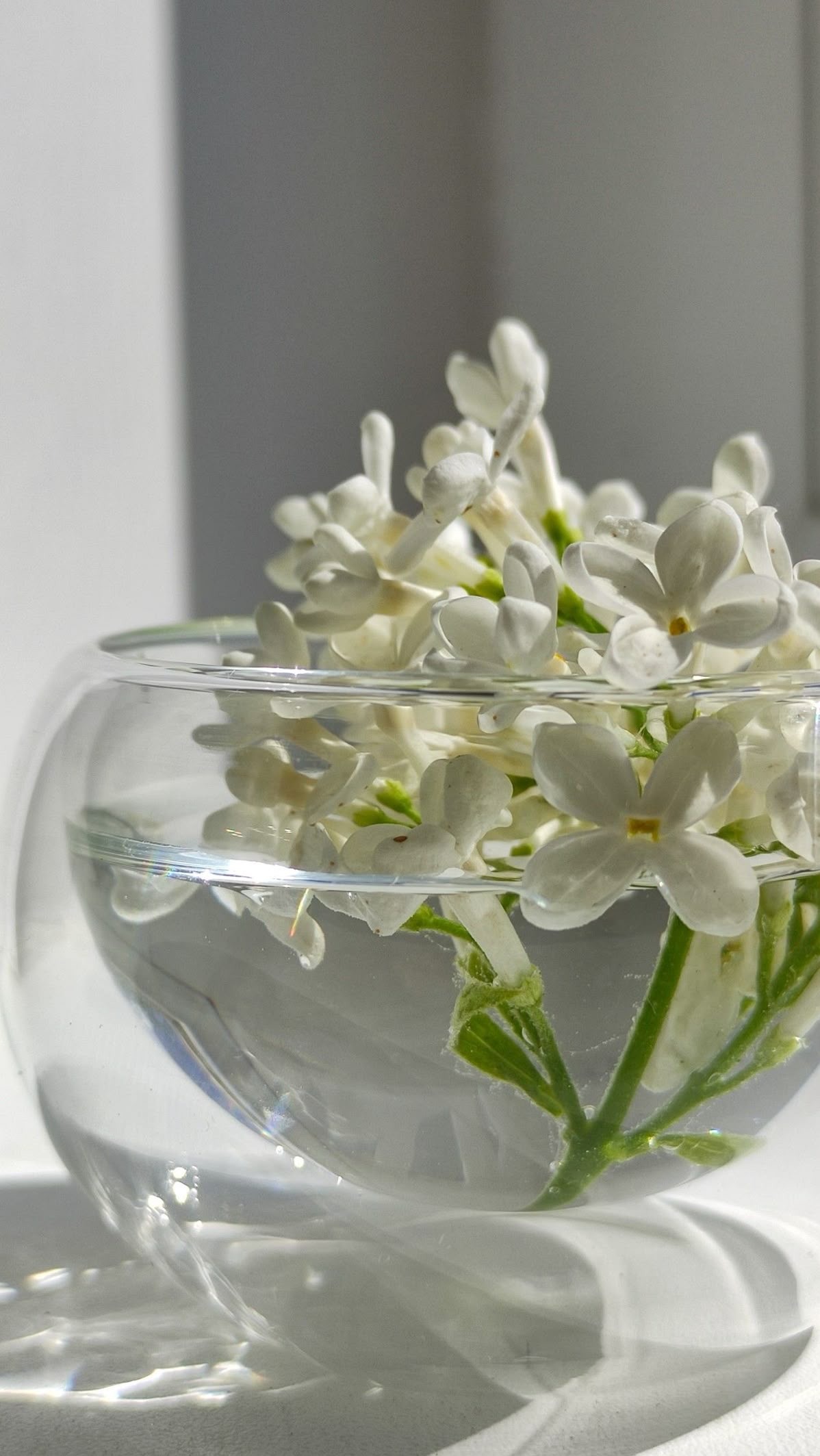 【疲れ婚活対策】コミュニケーションの悩み３選と解消法