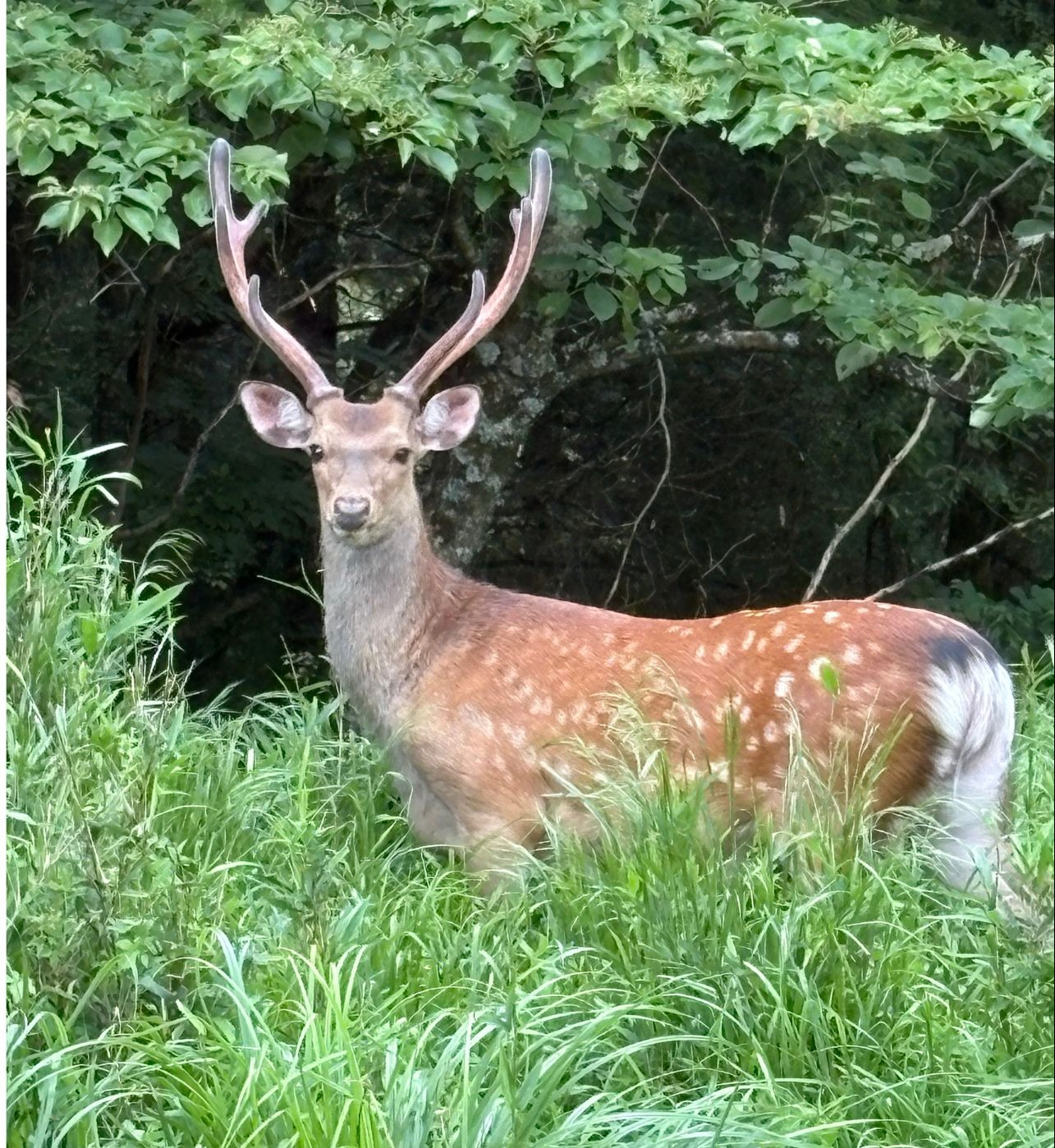 当社はものすごい山の中