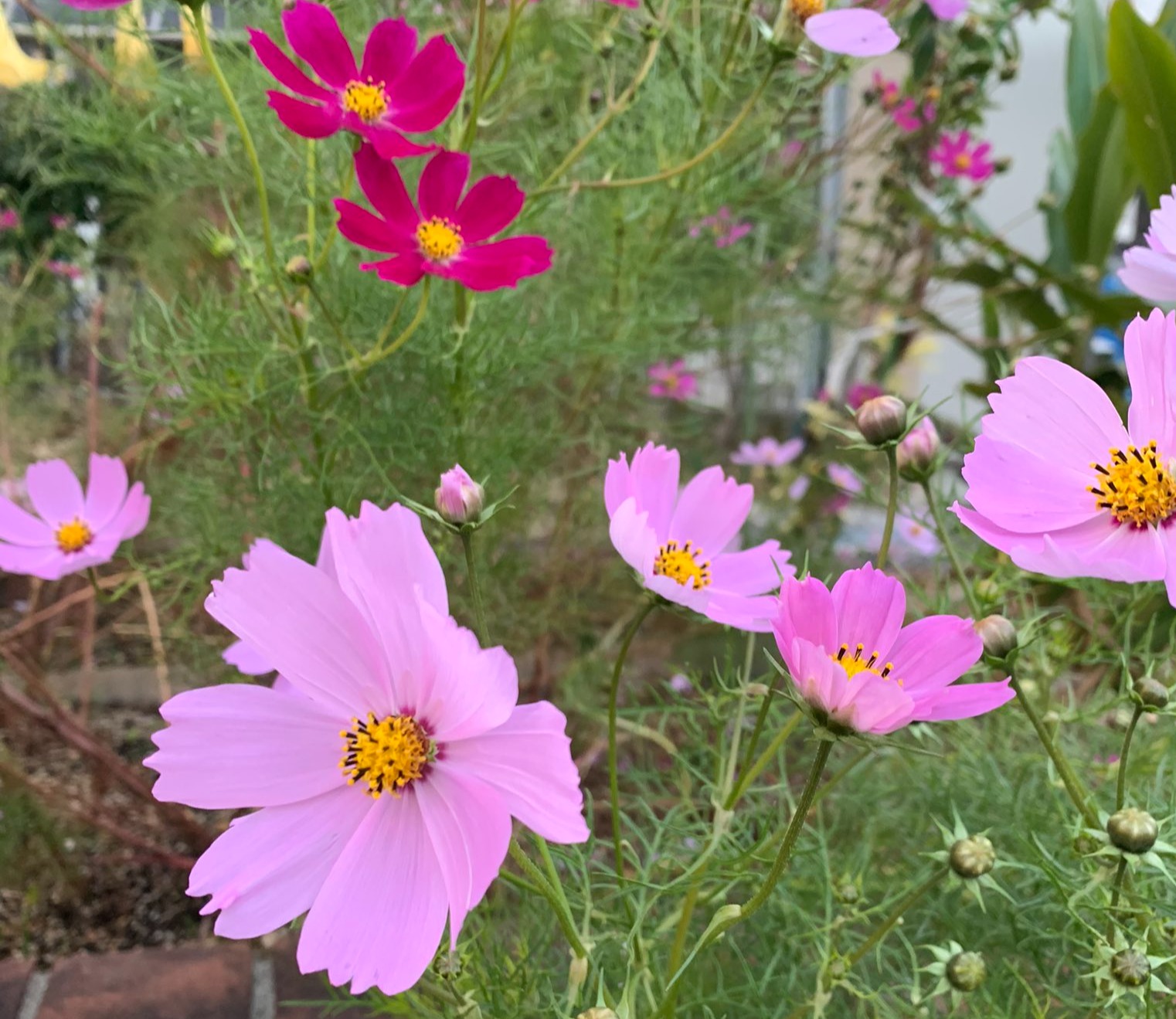 東京都内おすすめホテルラウンジ1