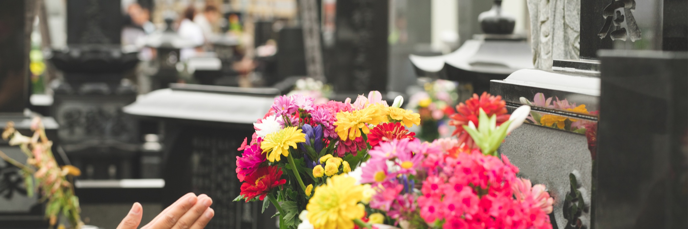 婚活での魅力につながる「丁寧な暮らし」