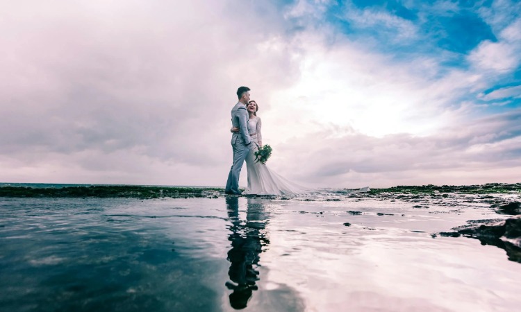 縁むすび　あおいとり