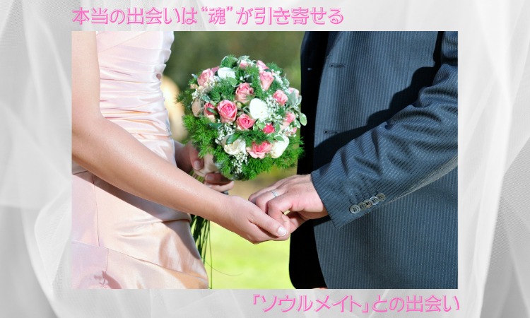 Platinum Diamond Matching 鑑定相談所