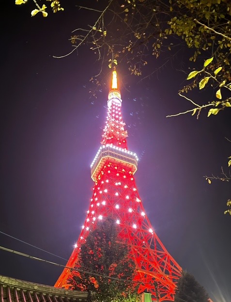 「女性の一人暮らし」──若い頃は自由、でも年齢を重ねるほどに“孤独”を感じる理由と、そこから幸せなパートナーシップへ進む方法