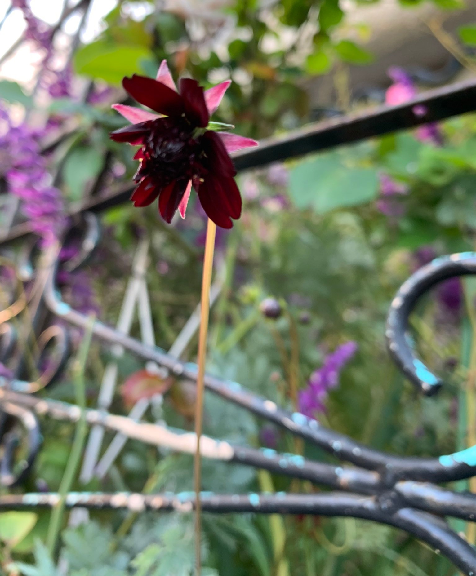 千葉県お見合い向けおすすめホテルラウンジカフェ