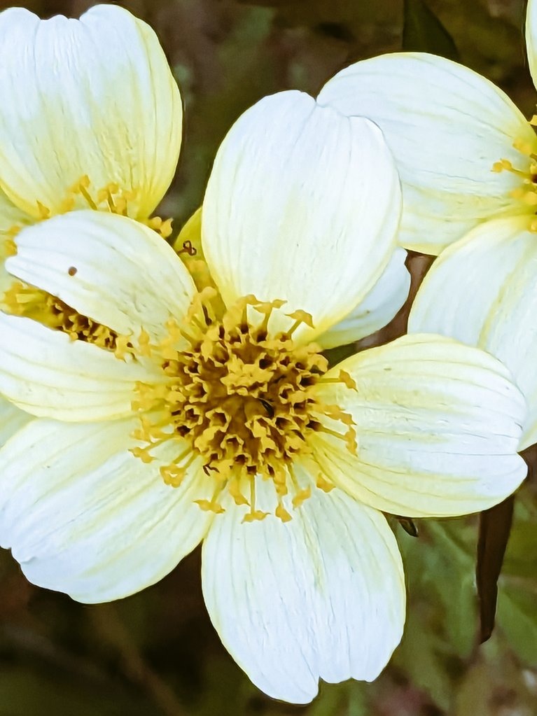 埼玉県結婚相談所のお見合い向けおすすめホテルラウンジ