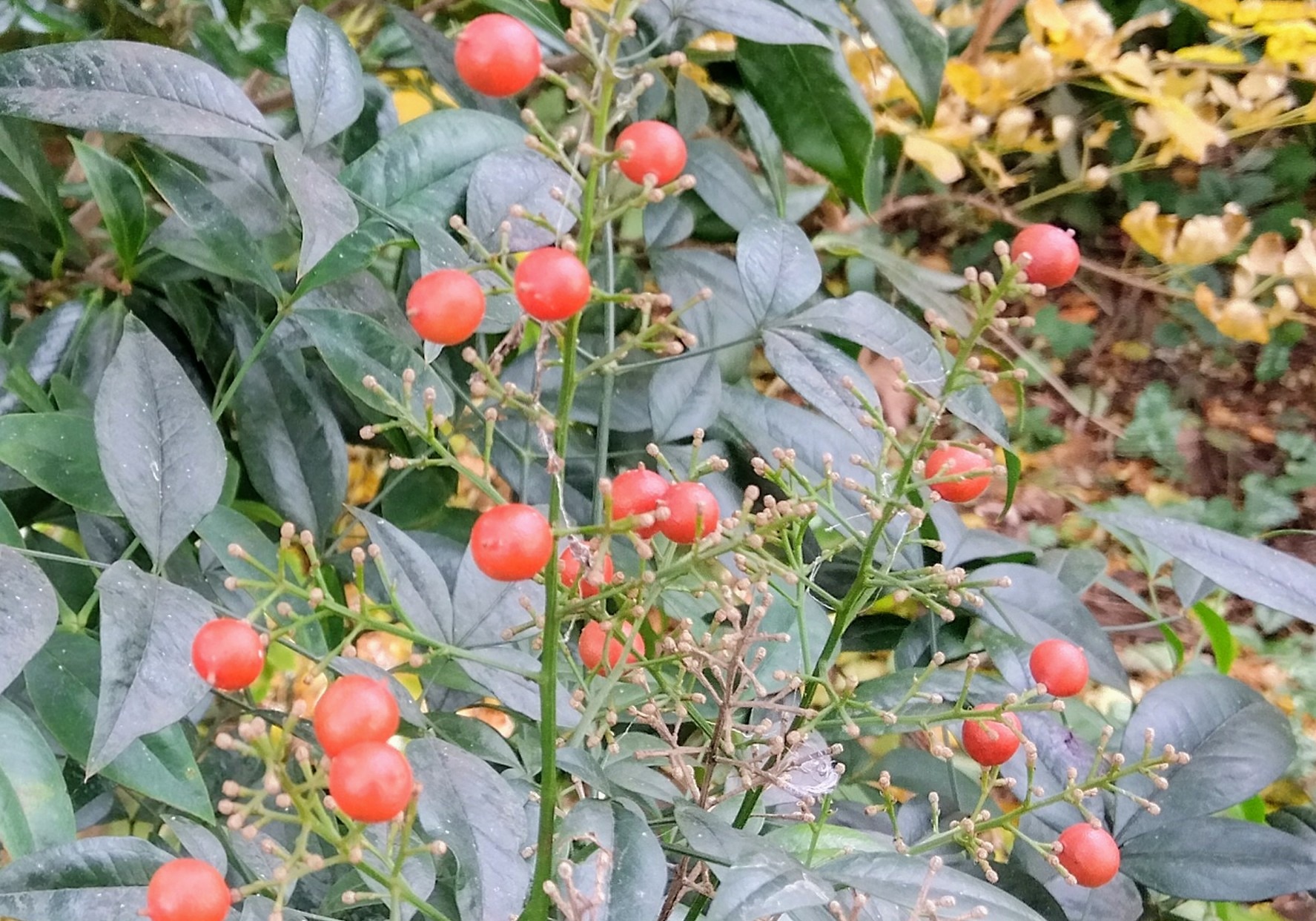 男性は過去の女性を覚えているの？