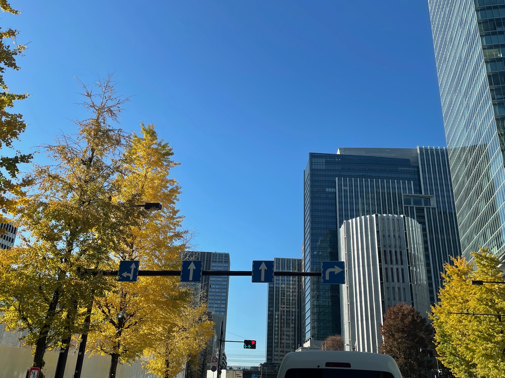 45歳からの離婚と再スタート──「心のスペース」を整えると、ご縁は静かに動き始める M’sブライダルジャパン・インターナショナル