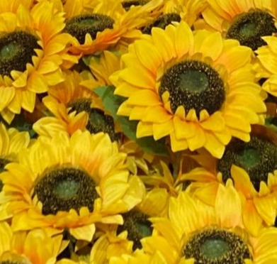 4毒抜き婚活もあり