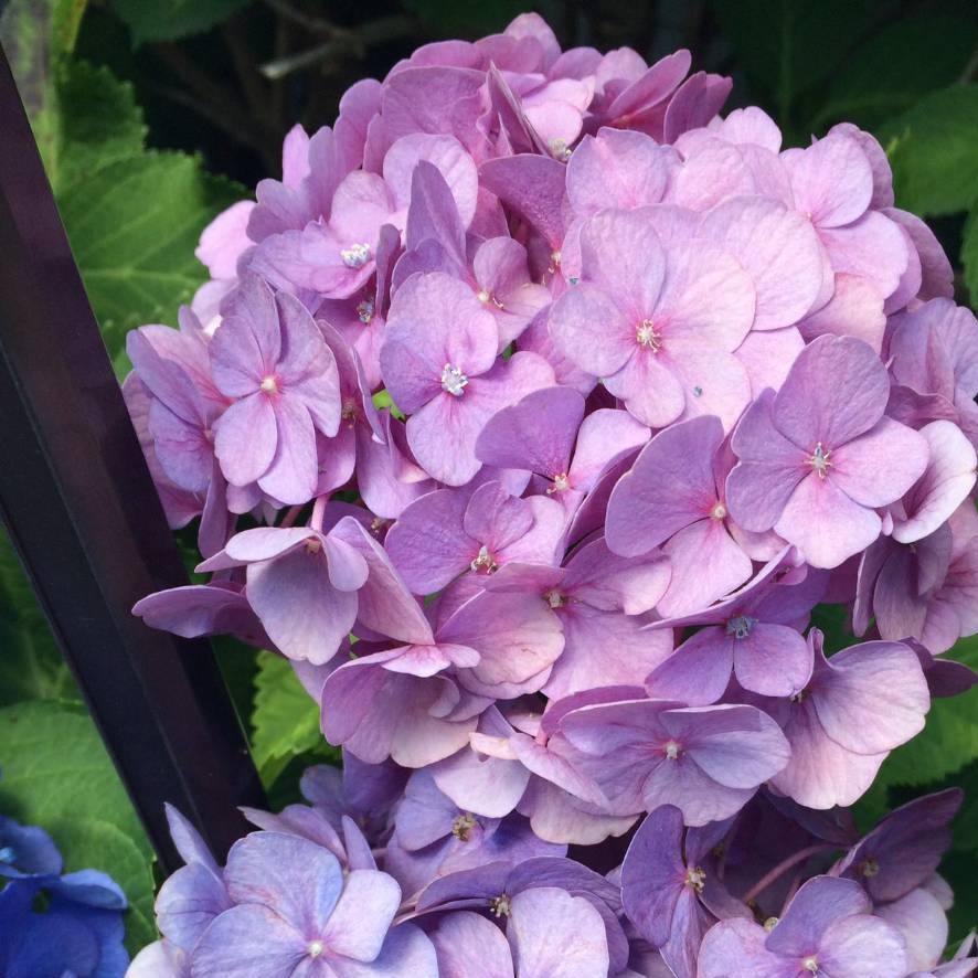 男性が結婚しなくなった理由1