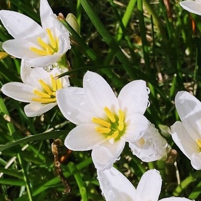 婚活女性が年収を公開したらどうなる？