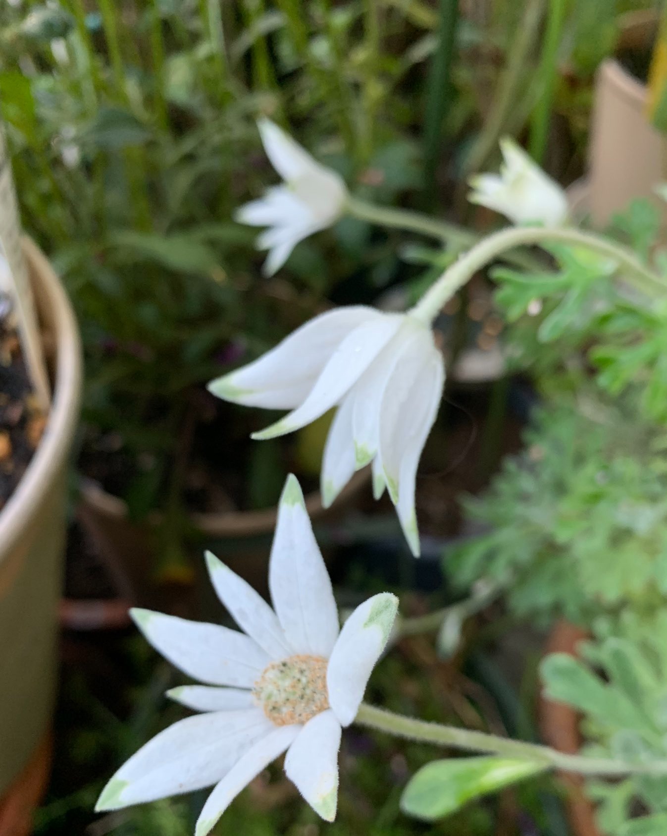 男性が結婚しなくなった理由3