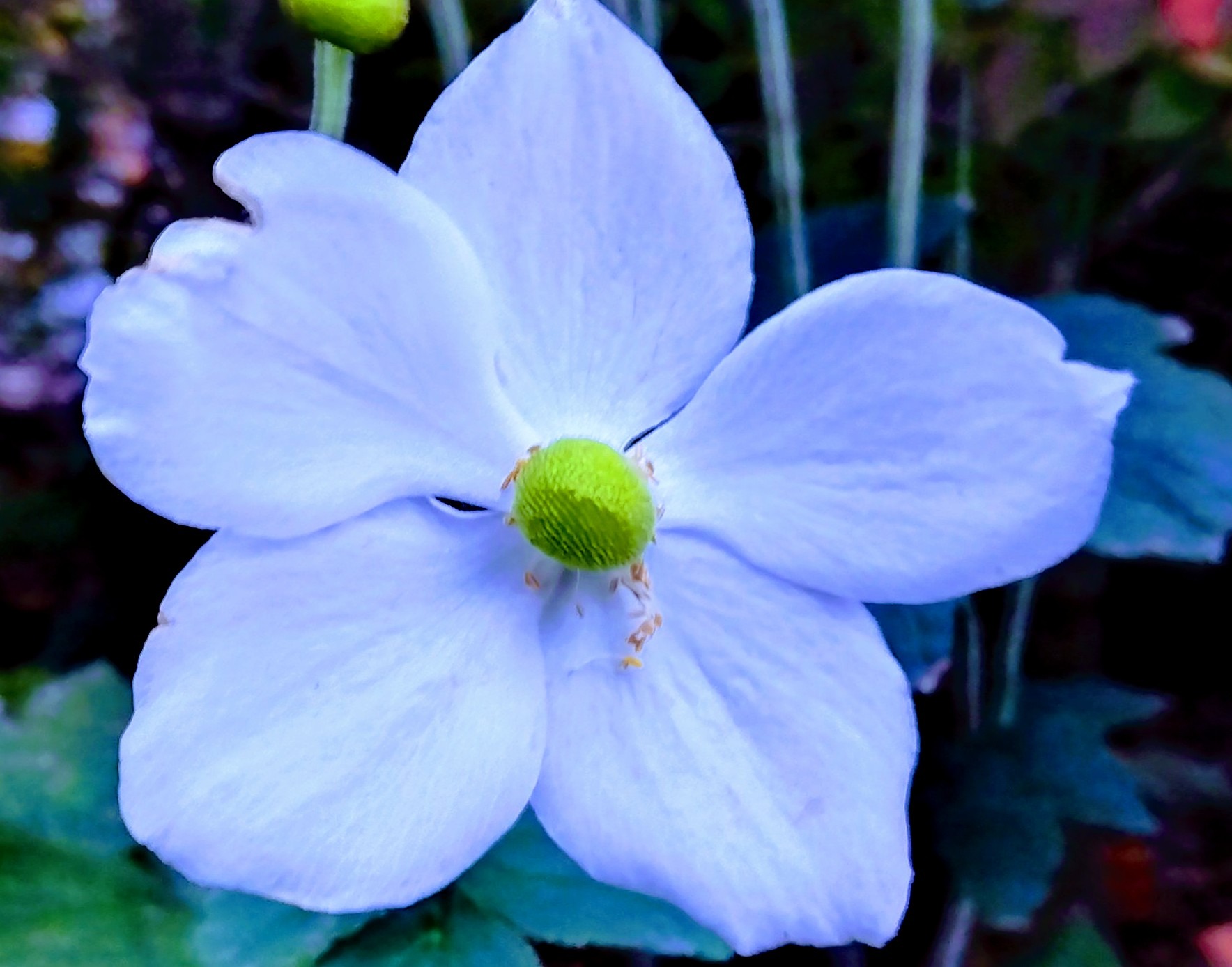 男性が結婚しなくなった理由4