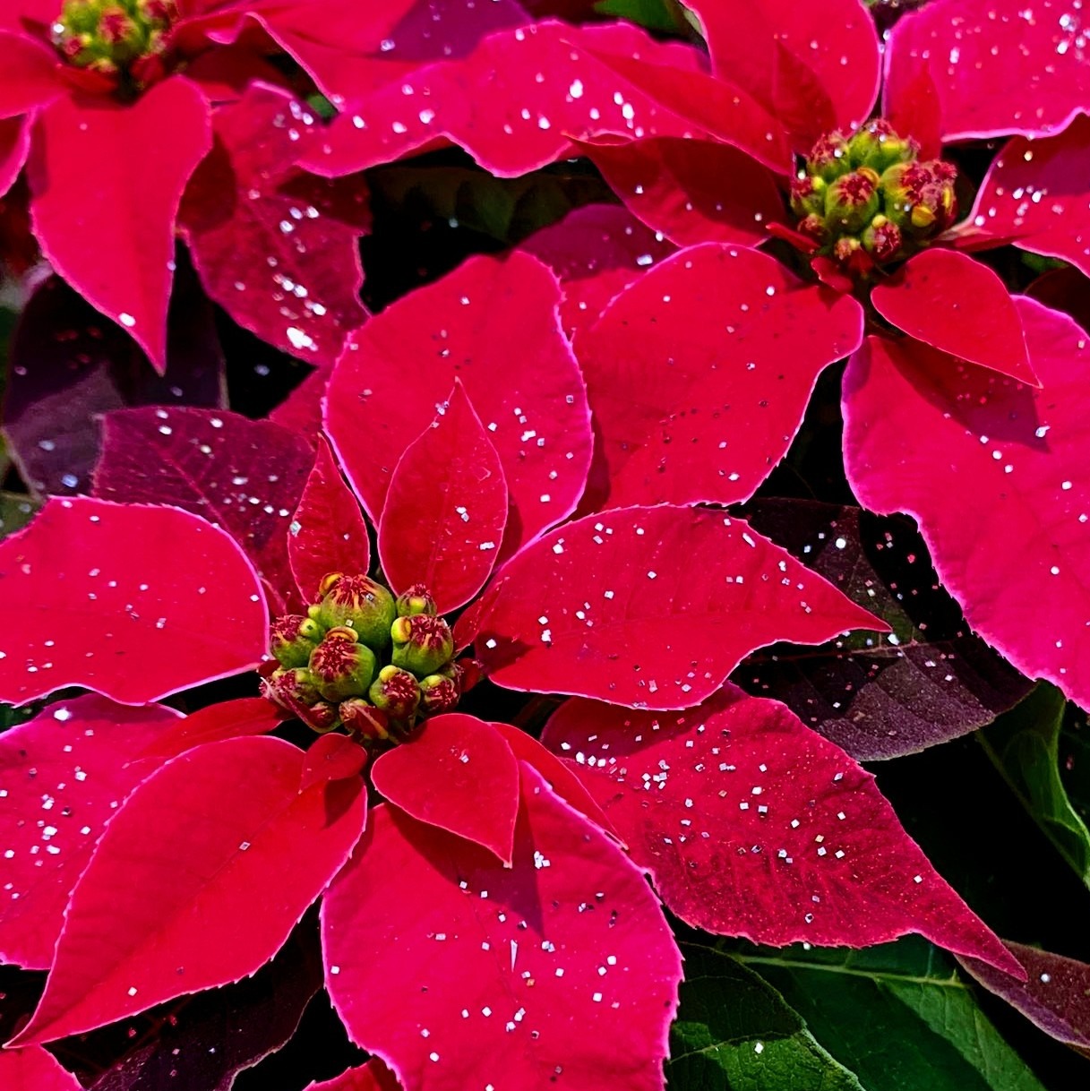 男性が結婚しなくなった理由その5（最終回）