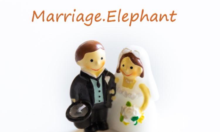 結婚相談所マリッジ・エレファント