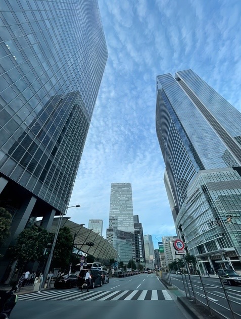 秋分の日に婚活をリセットするチャンス ～自然のリズムで前向きな出会いを～