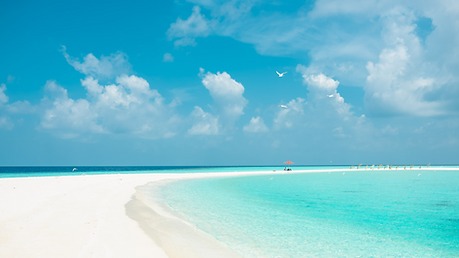 広島で婚活を始めるなら？地元密着・結婚相談所Haluの3つの魅力