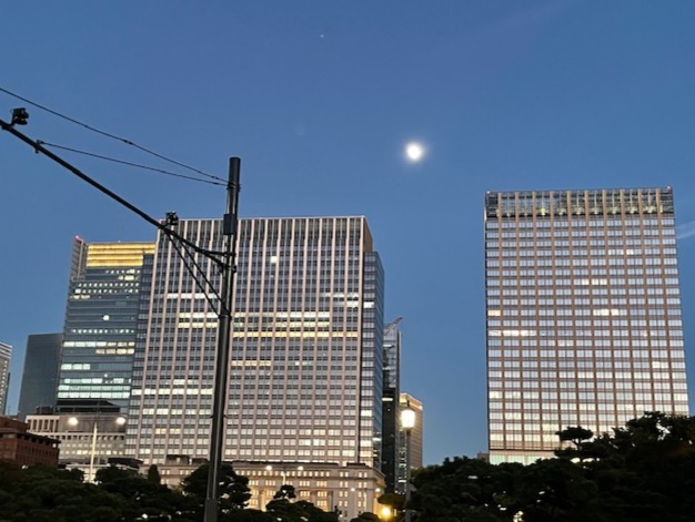 💎50代・60代男性の再婚・初婚希望者へ──孤独からの一歩。人生後半を共に歩む“本物のパートナー探し”