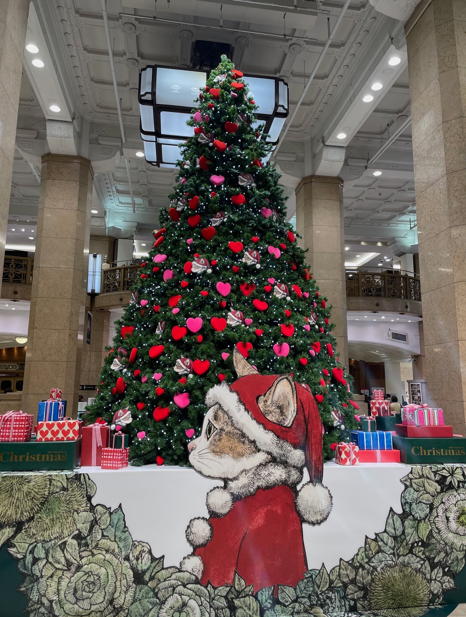 🌿 60代の婚活は「背中を押してくれる人」が鍵になる時代へ