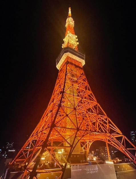 本日は14日（日）。今年も残り半月──東京の結婚相談所が年末に“動く理由”