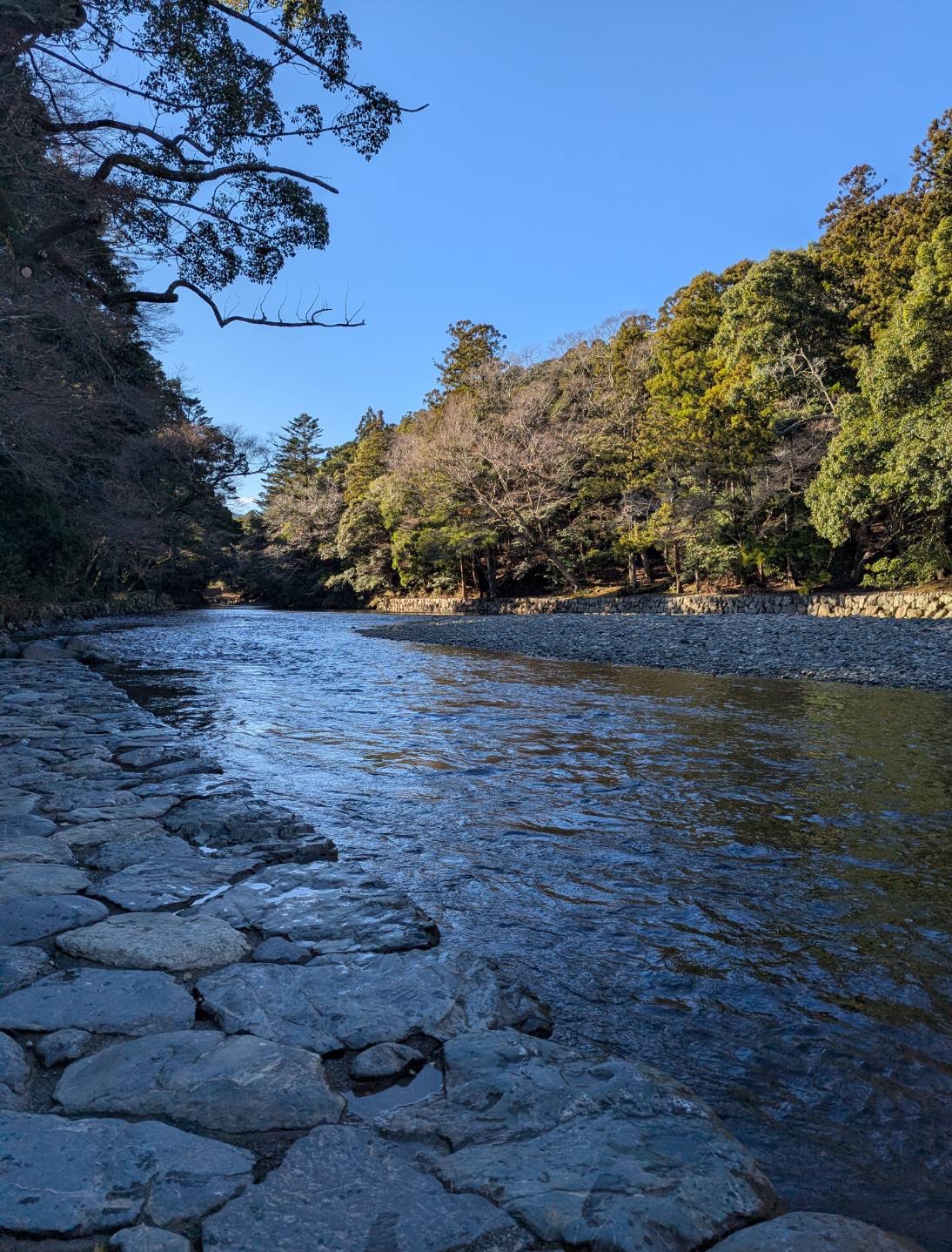 心の指圧師コラム③ 50代・60代の結婚は、「安心できるかどうか」がすべてです