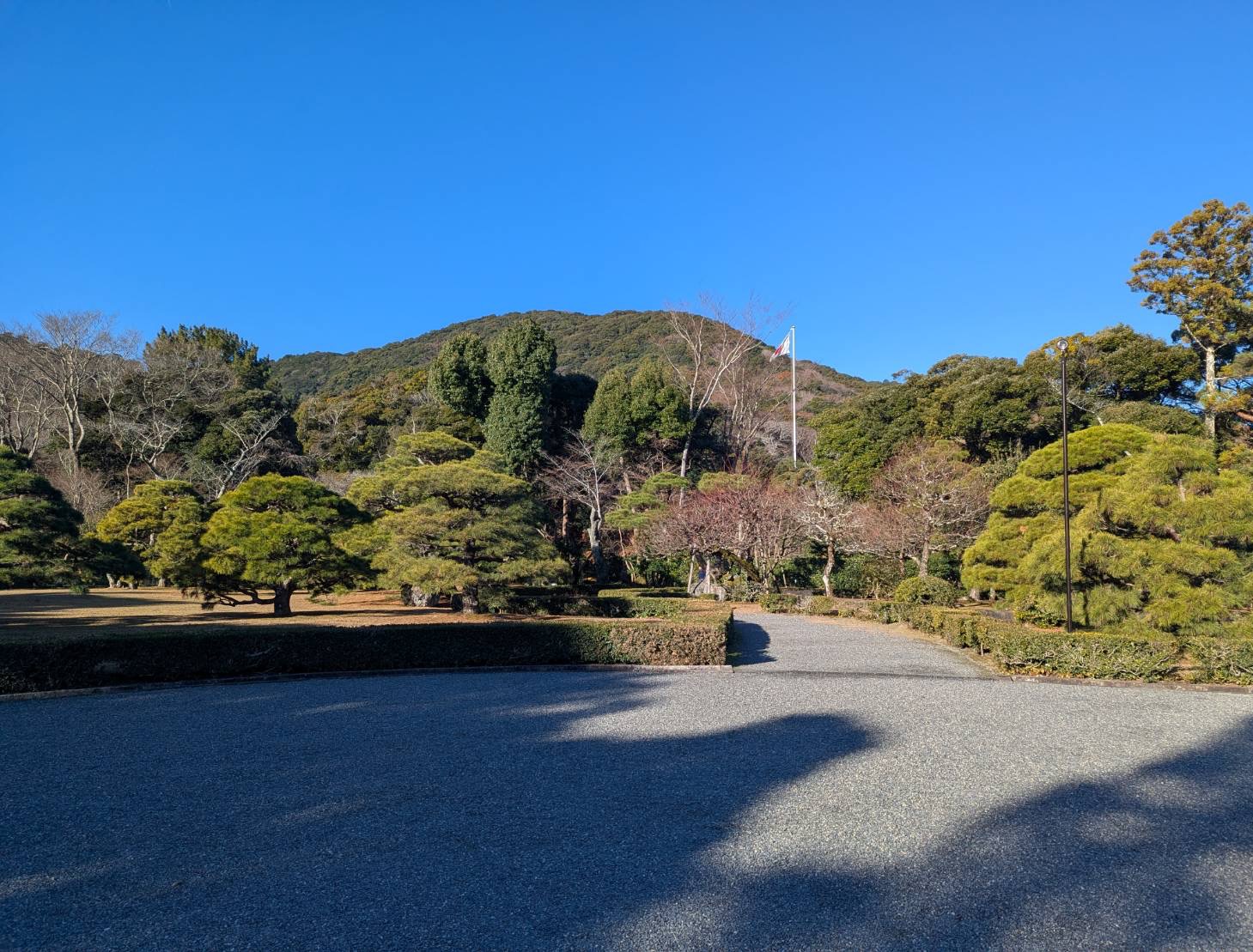 心の指圧師コラム⑤ 一人に慣れた人ほど、実は良いご縁に出会えます