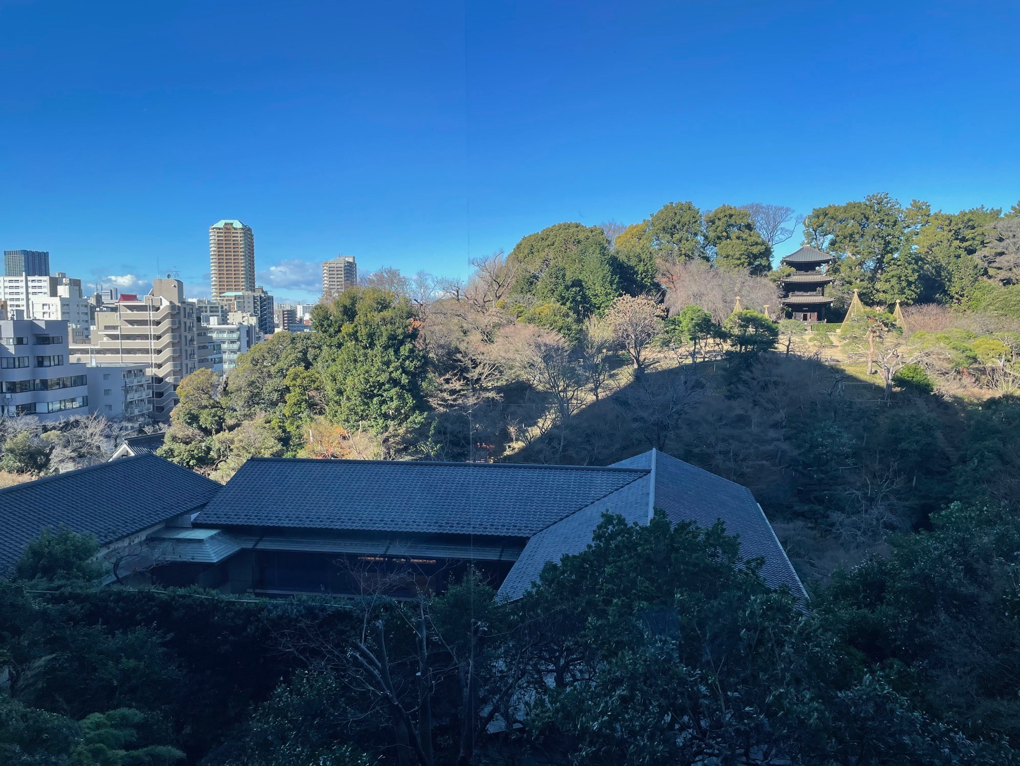 9連休スタート。帰省前・旅行前のご相談が相次いだ一日でした