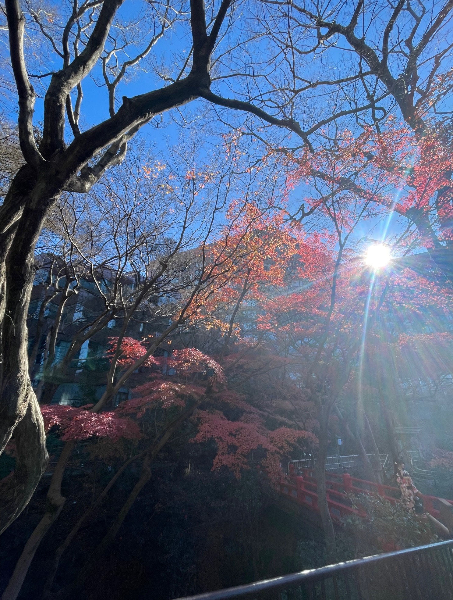 結婚相談所を東京で探すなら｜迷ったときに知っておきたい本質的な選び方とM’sブライダルジャパンの特徴