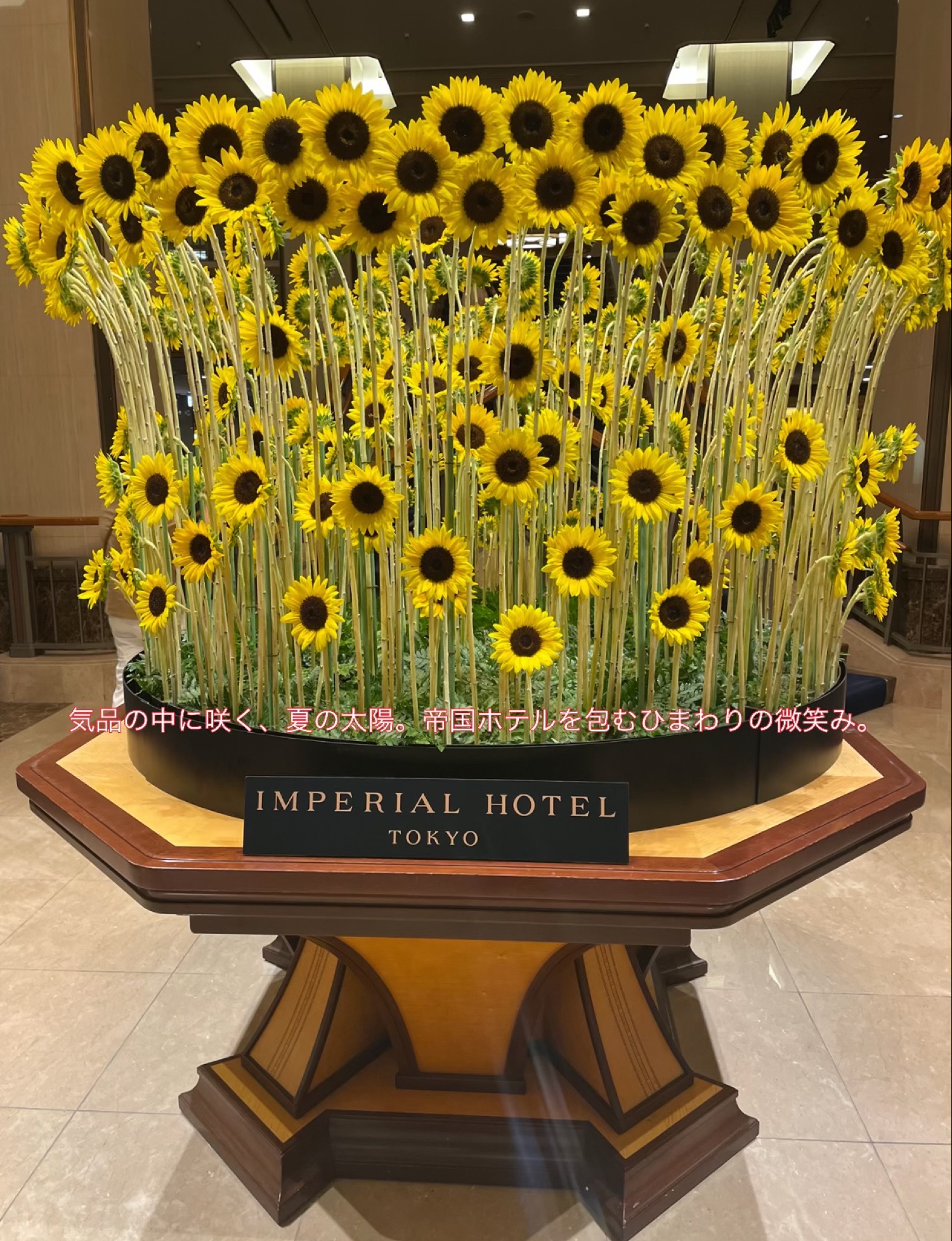 心のときめきは年齢とともに深くなる──50代・60代からの恋愛が美しい理由