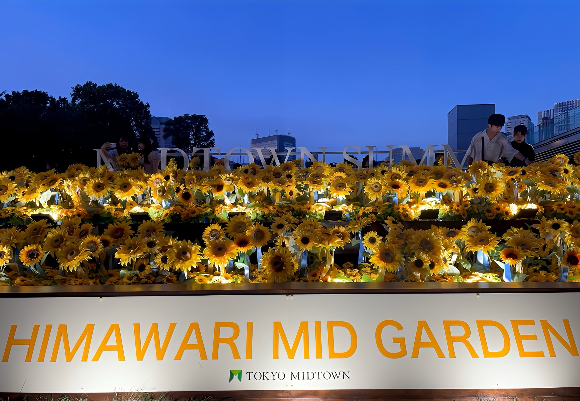 お盆明けからが婚活の本番！―「結婚相談所 東京」で理想のパートナーに出会うための4ヶ月間