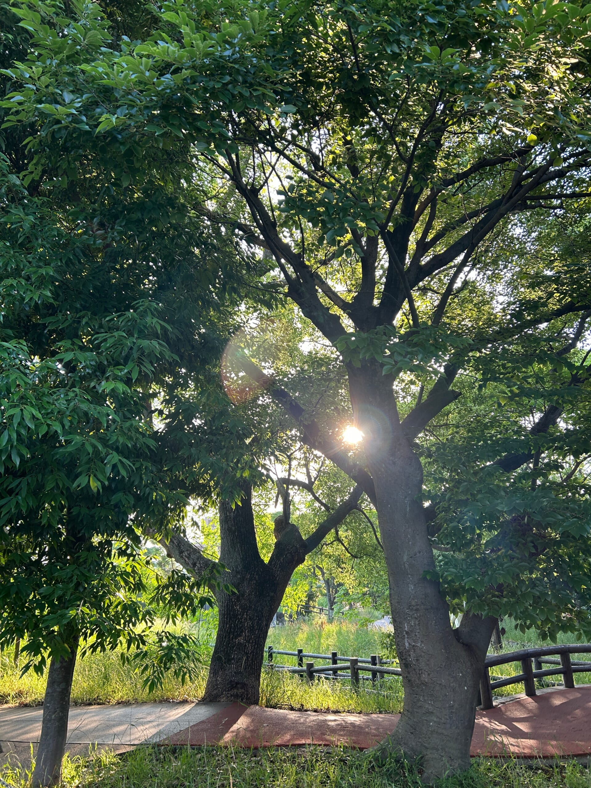 はじめましてのご挨拶