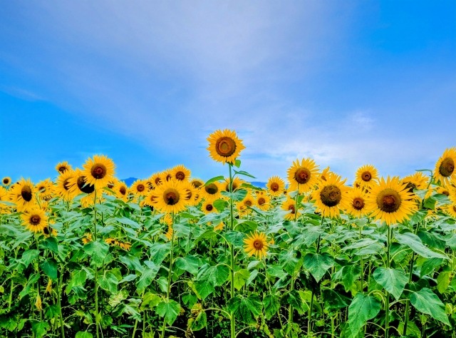 「結婚したいと」思った  その時が、あなたのベストタイミング