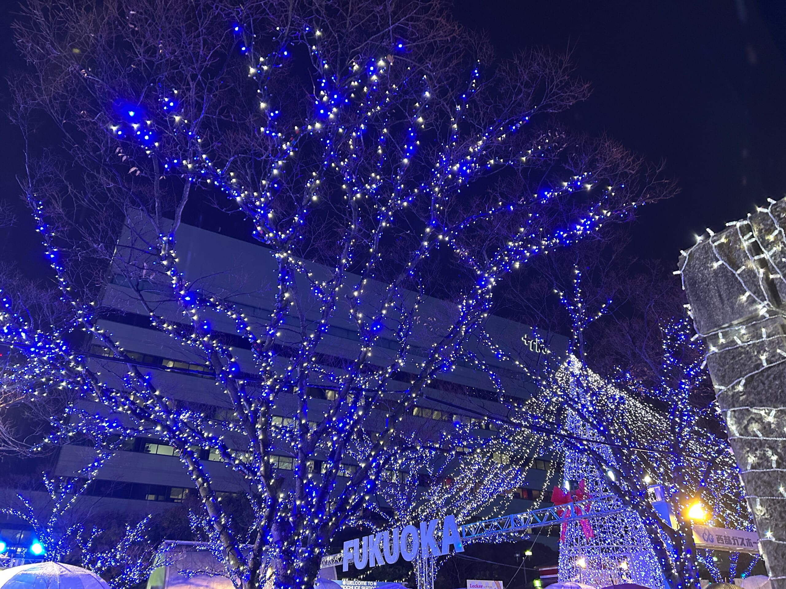 イベントで終わらないクリスマス。 ご縁と自分をそっと抱きしめる夜に