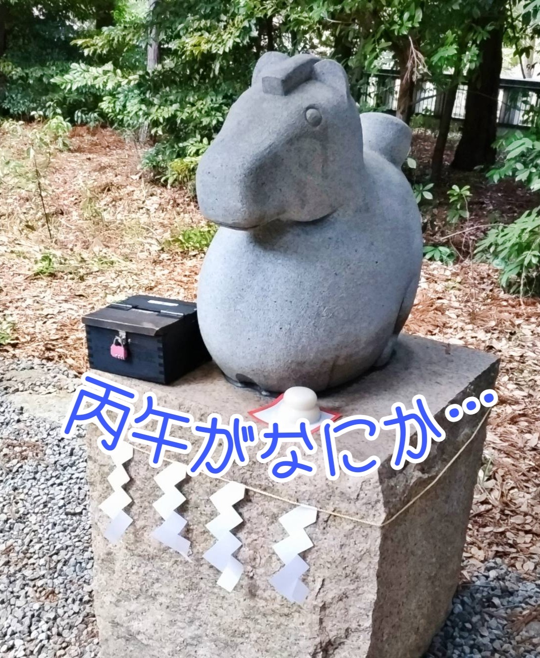 今年もよろしくお願いします!