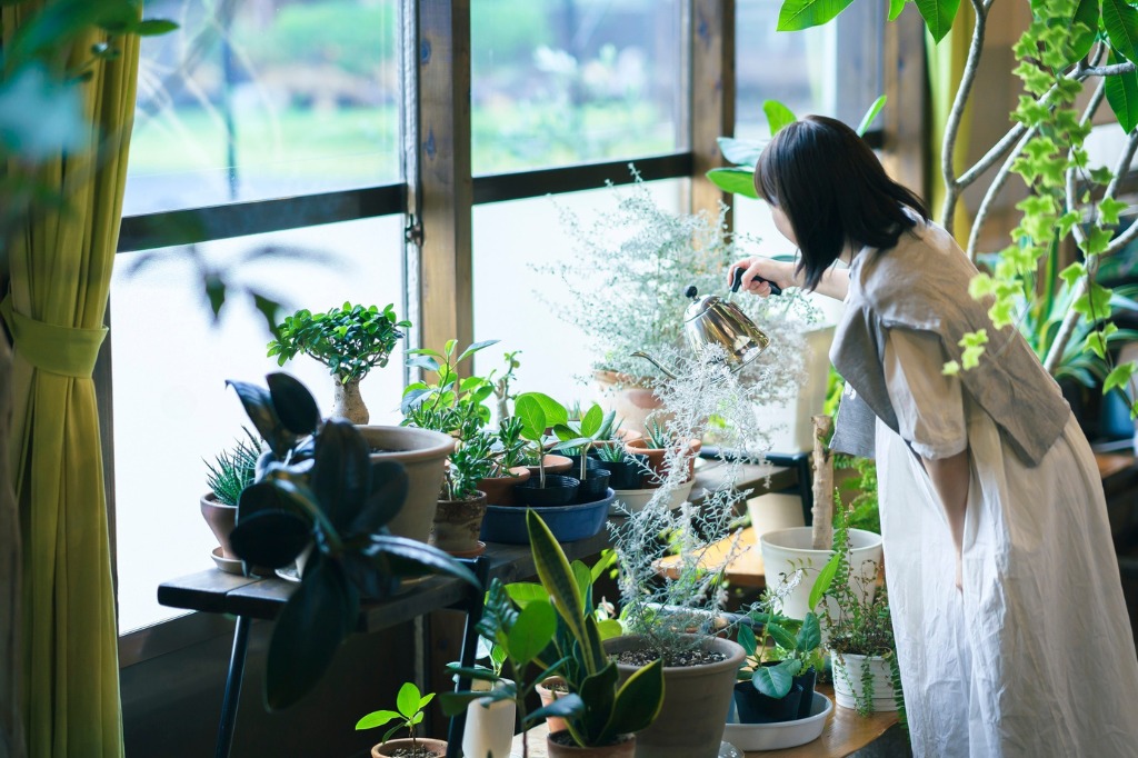 比較してしまう心理｜婚活でしんどくなるときに起きていること