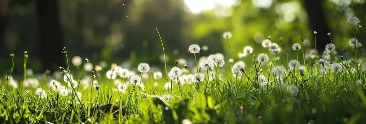 早いもので1月最終日。 「動いた人」から、2月は始まっています。