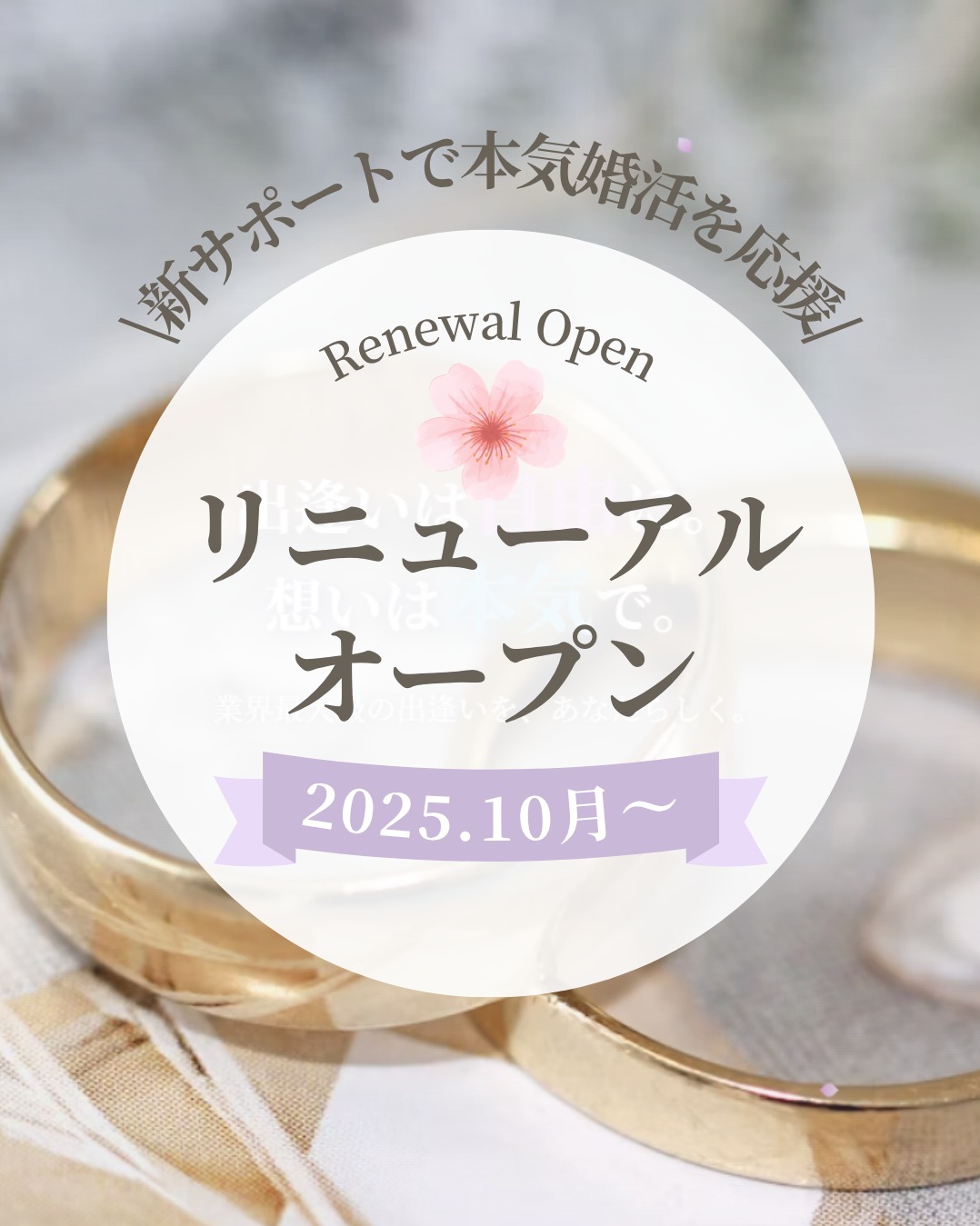 リニューアルオープンのお知らせ