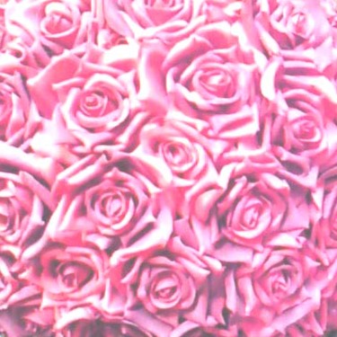 令和の時代法律が変わりました　女性も離婚してすぐ入籍できます！