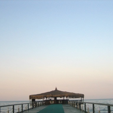 今年も拙いブログお読みいただきありがとうございました