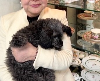 【仙台婚活】大雪の土曜日、会員様デートやお見合いです