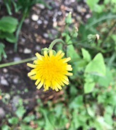 【仙台婚活】手を繋いでいいですか？