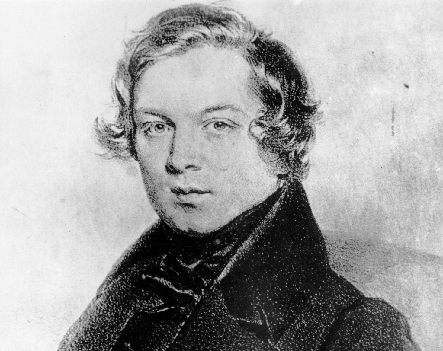 ロベルト・シューマン《詩人の恋》 ――愛を埋葬したあとにだけ聴こえる旋律―― http://www.cherry-piano.com