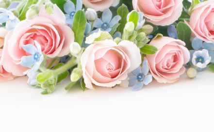 膝の手術後なのでお時間いただいています