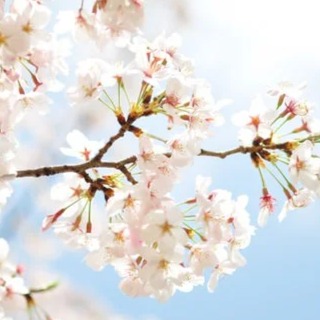 仙台結婚相談所で結婚が決まりそうになって、いい人なのにモヤモヤする。