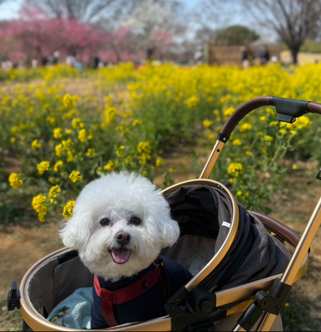 おすすめデートスポット