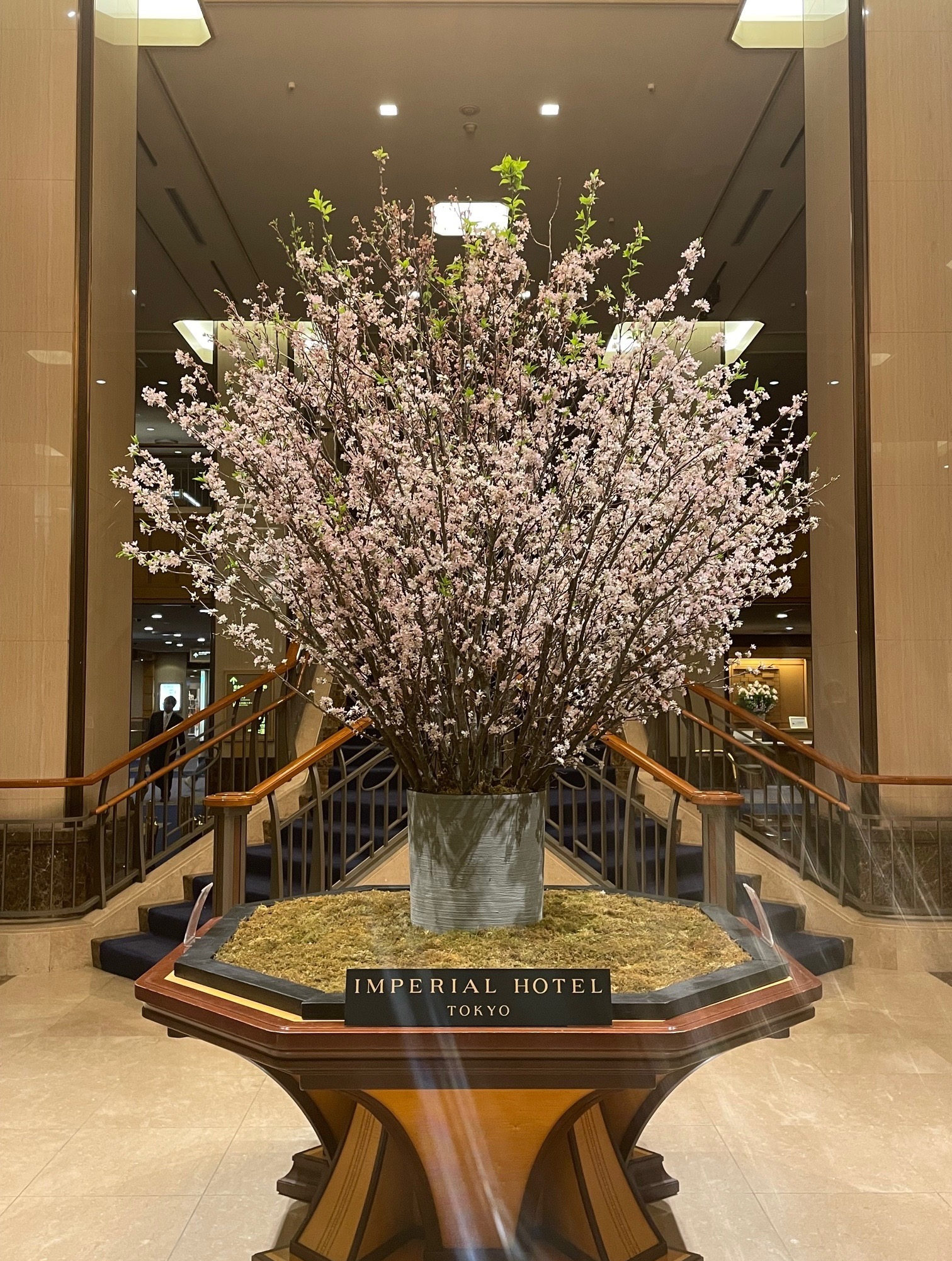 【心の指圧師シリーズ】見えない誰かが、背中を押している日｜40代・50代からの婚活に起きる“偶然ではない流れ”