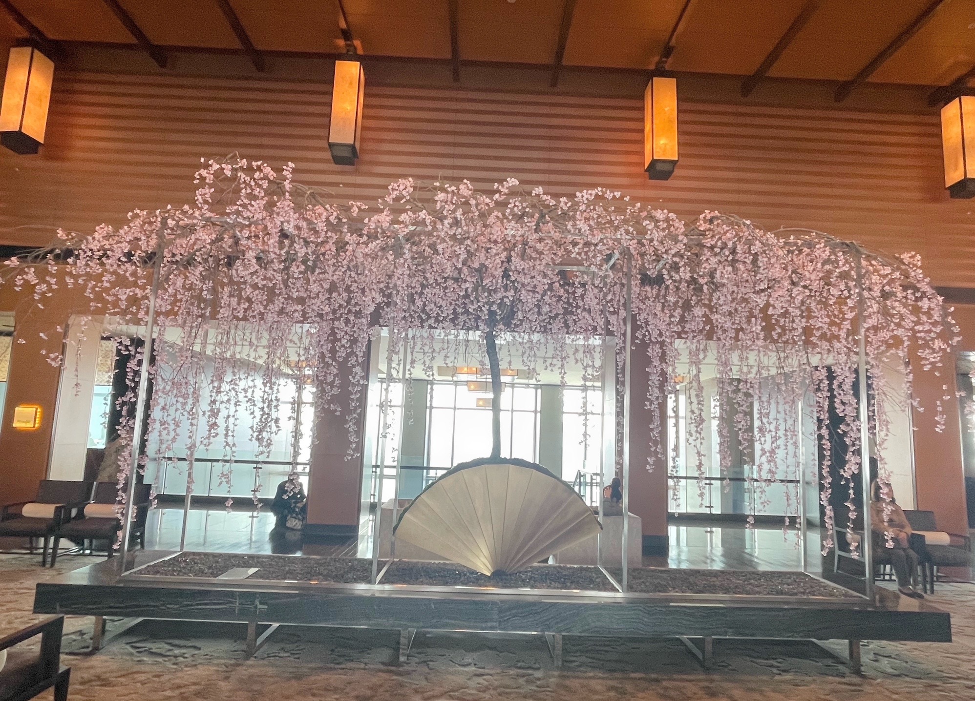 桜が咲くと、人はなぜ“人生”を考え始めるのか🌸