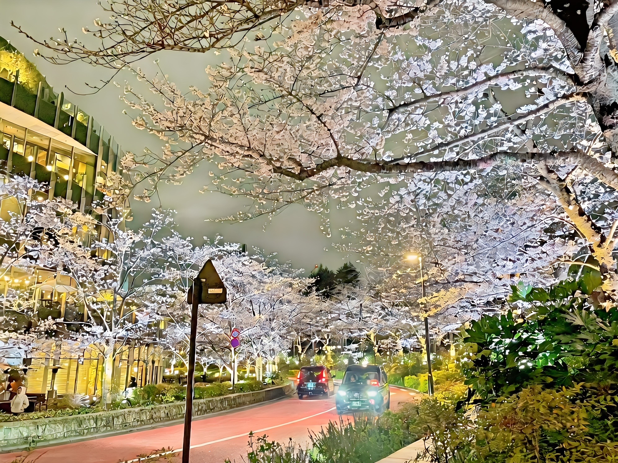 春は「差がつく季節」—婚活が動く人と止まる人の決定的な違いとは