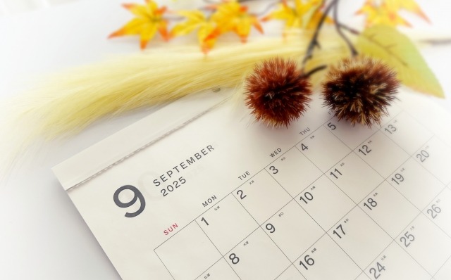 まだ間に合う！9月から始める婚活スタート🕊️