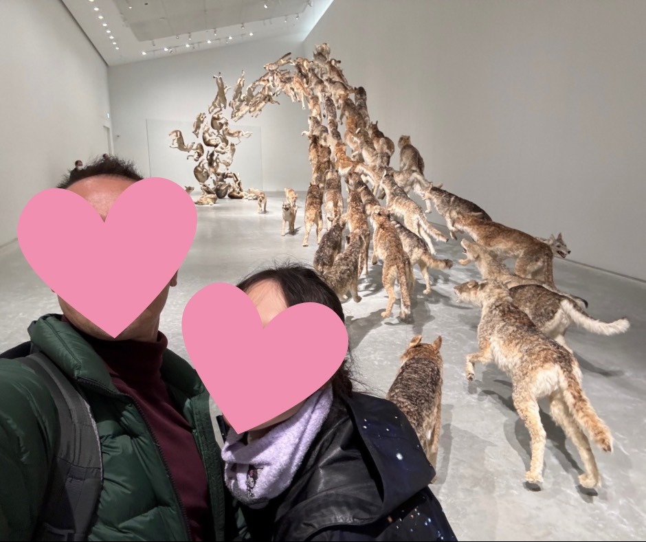 Yさん新婚旅行ラスト編